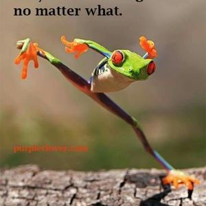 Meet your Posher, Christy